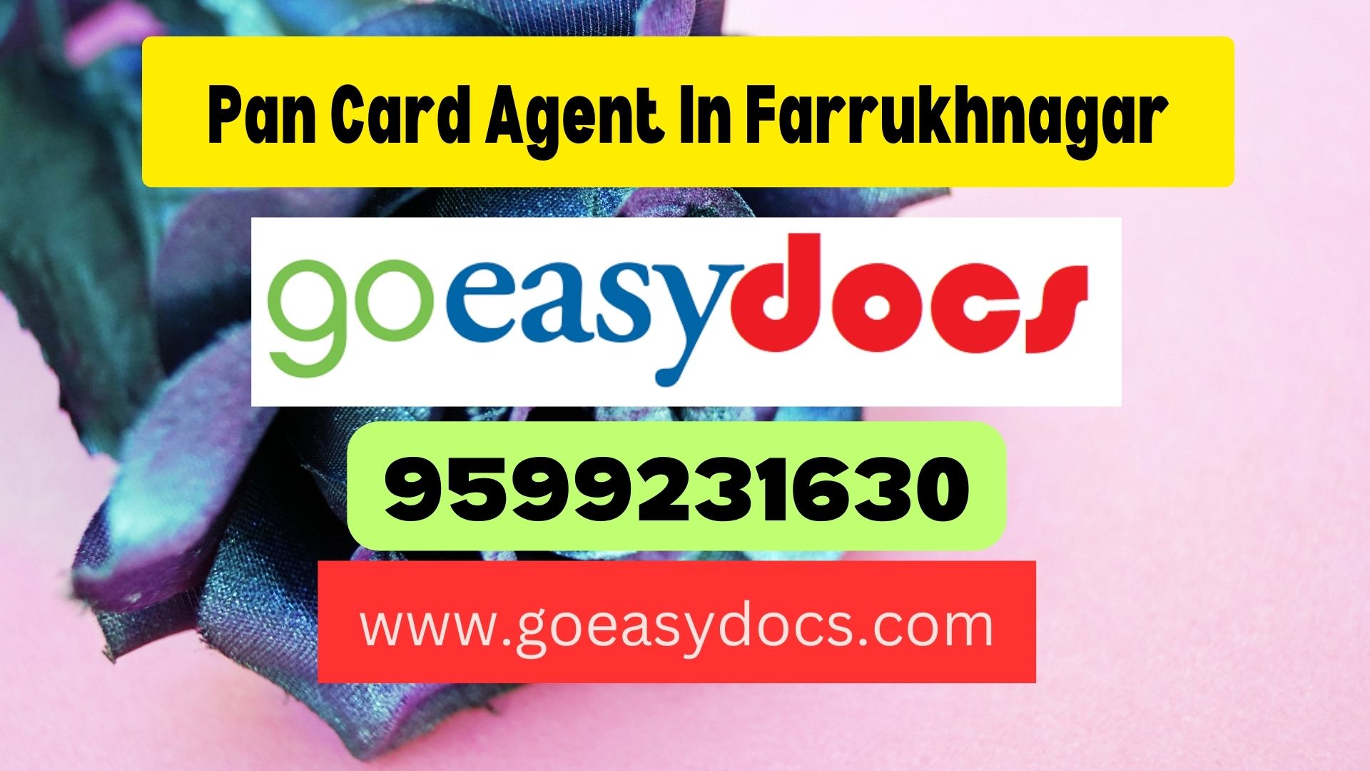 Pan Card Agent Consultant in Farrukhnagar 8851415812