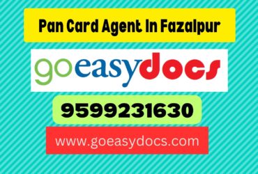 Pan Card Agent Consultant in Fazalpur 8851415812