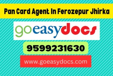 Pan Card Agent Consultant in Ferozepur Jhirka 8851415812