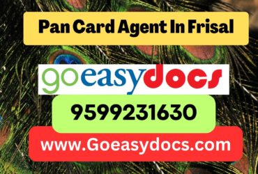 Pan Card Agent Consultant in Frisal 8851415812