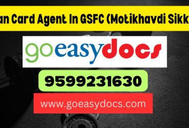 Pan Card Agent Consultant in GSFC (Motikhavdi Sikka) 8851415812