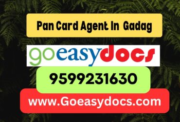 Pan Card Agent Consultant in Gadag 8851415812