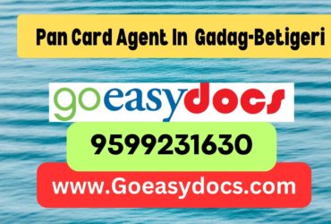 Pan Card Agent Consultant in Gadag-Betigeri  8851415812