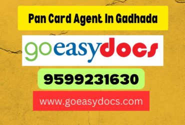 Pan Card Agent Consultant in Gadhada 8851415812