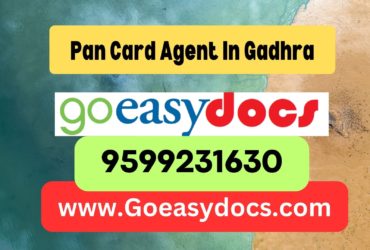 Pan Card Agent Consultant in Gadhra 8851415812