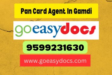 Pan Card Agent Consultant in Gamdi 8851415812