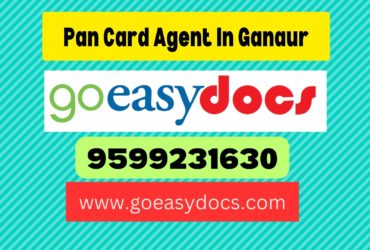 Pan Card Agent Consultant in Ganaur 8851415812