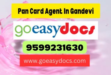 Pan Card Agent Consultant in Gandevi 8851415812