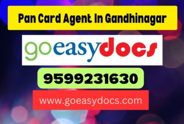 Pan Card Agent Consultant in Gandhinagar 8851415812