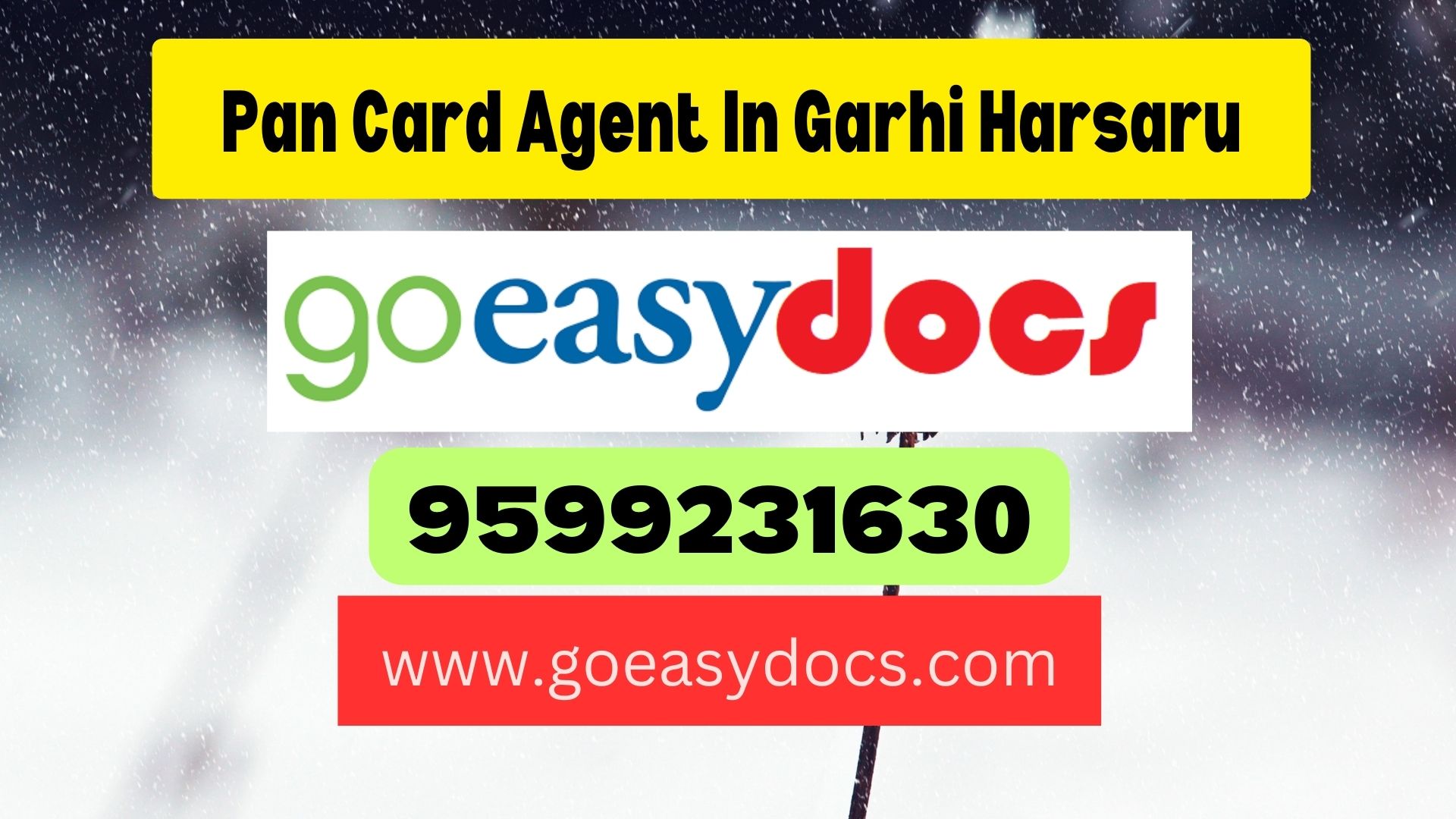 Pan Card Agent Consultant in Garhi Harsaru 8851415812