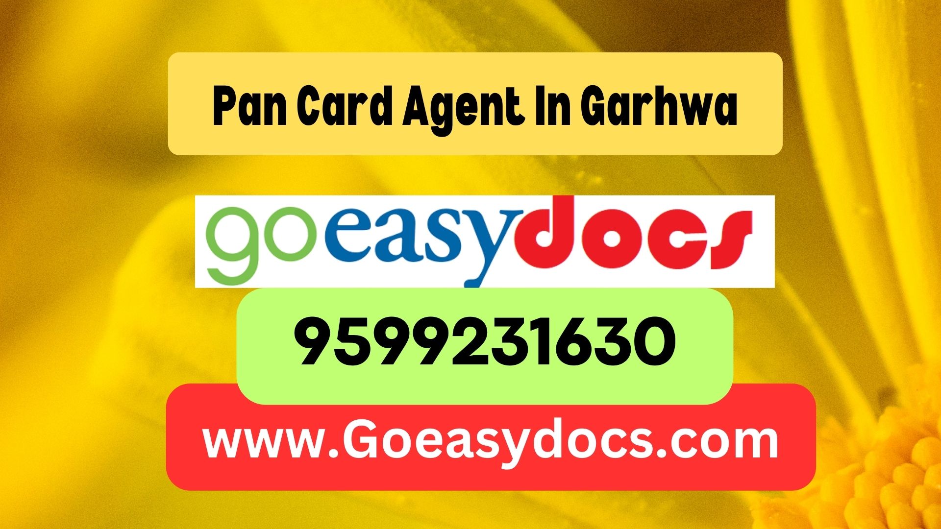 Pan Card Agent Consultant in Garhwa 8851415812