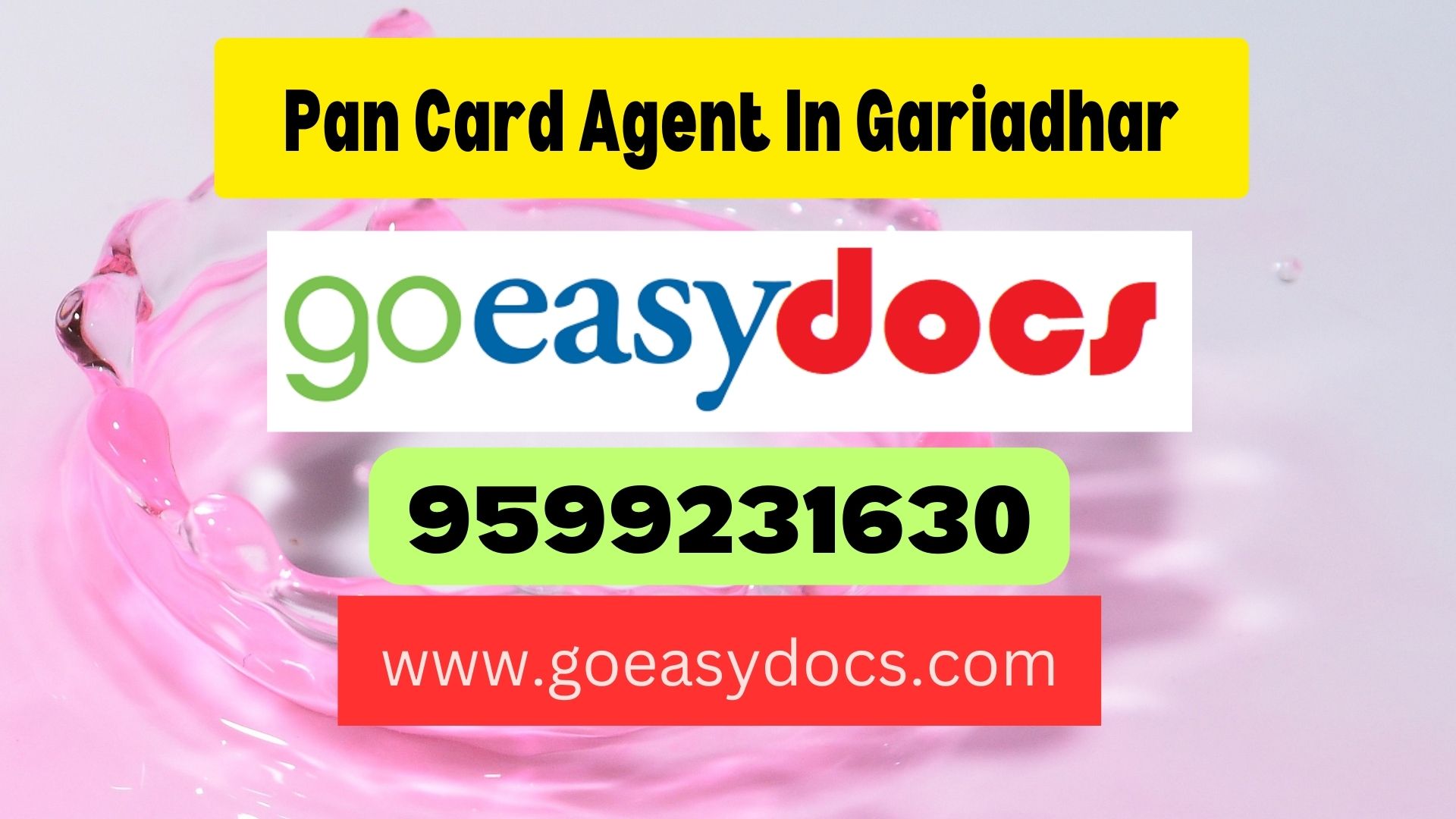 Pan Card Agent Consultant in Gariadhar 8851415812