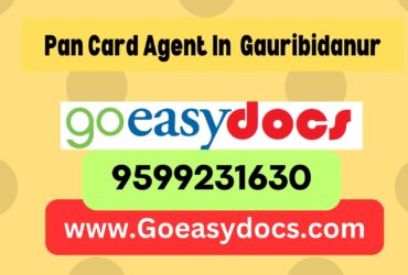 h1>Pan Card Agent Consultant in Gauribidanur 8851415812