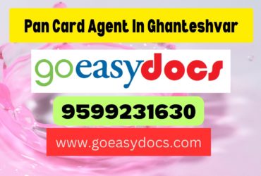 Pan Card Agent Consultant in Ghanteshvar 8851415812