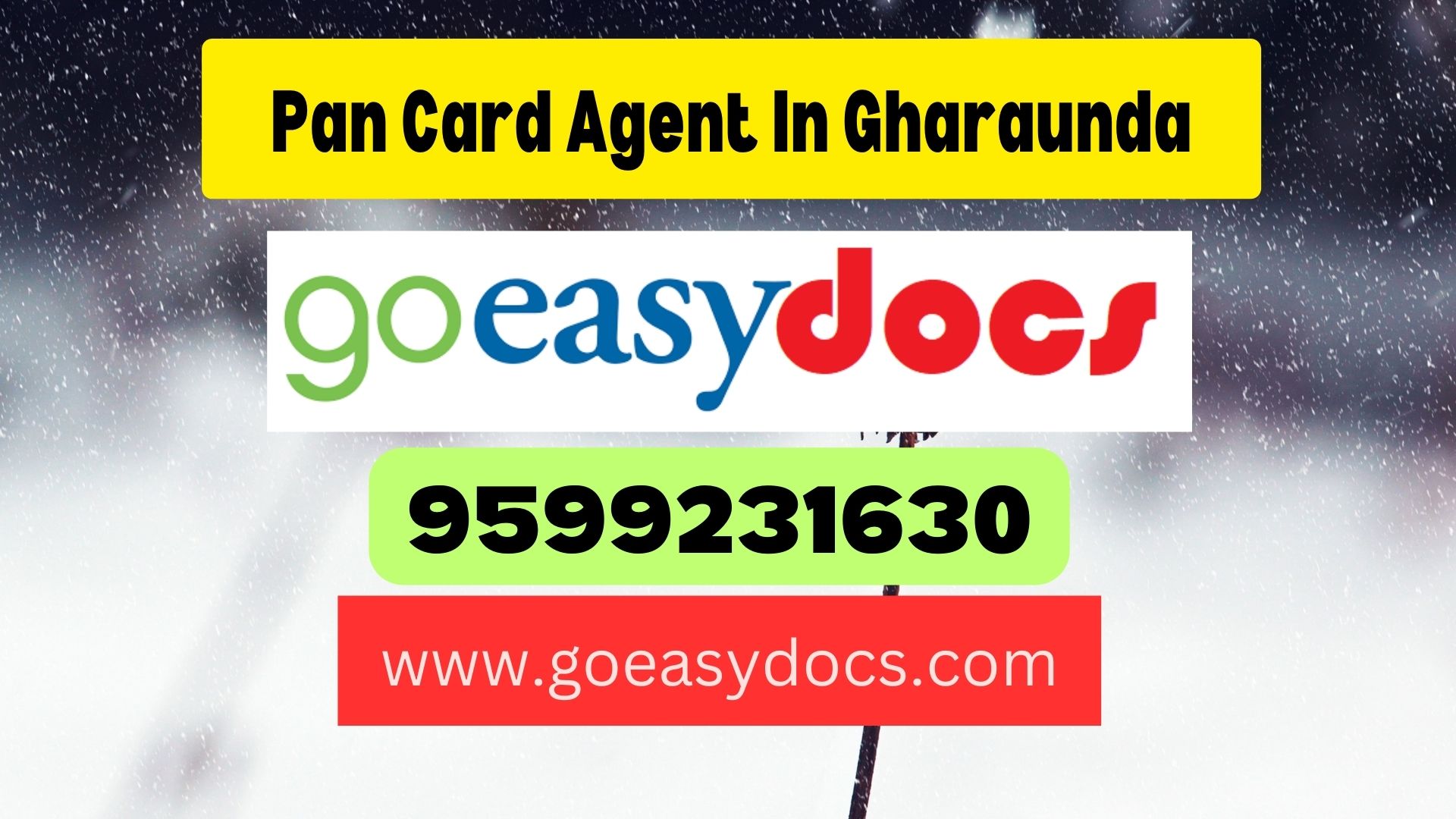 Pan Card Agent Consultant in Gharaunda 8851415812