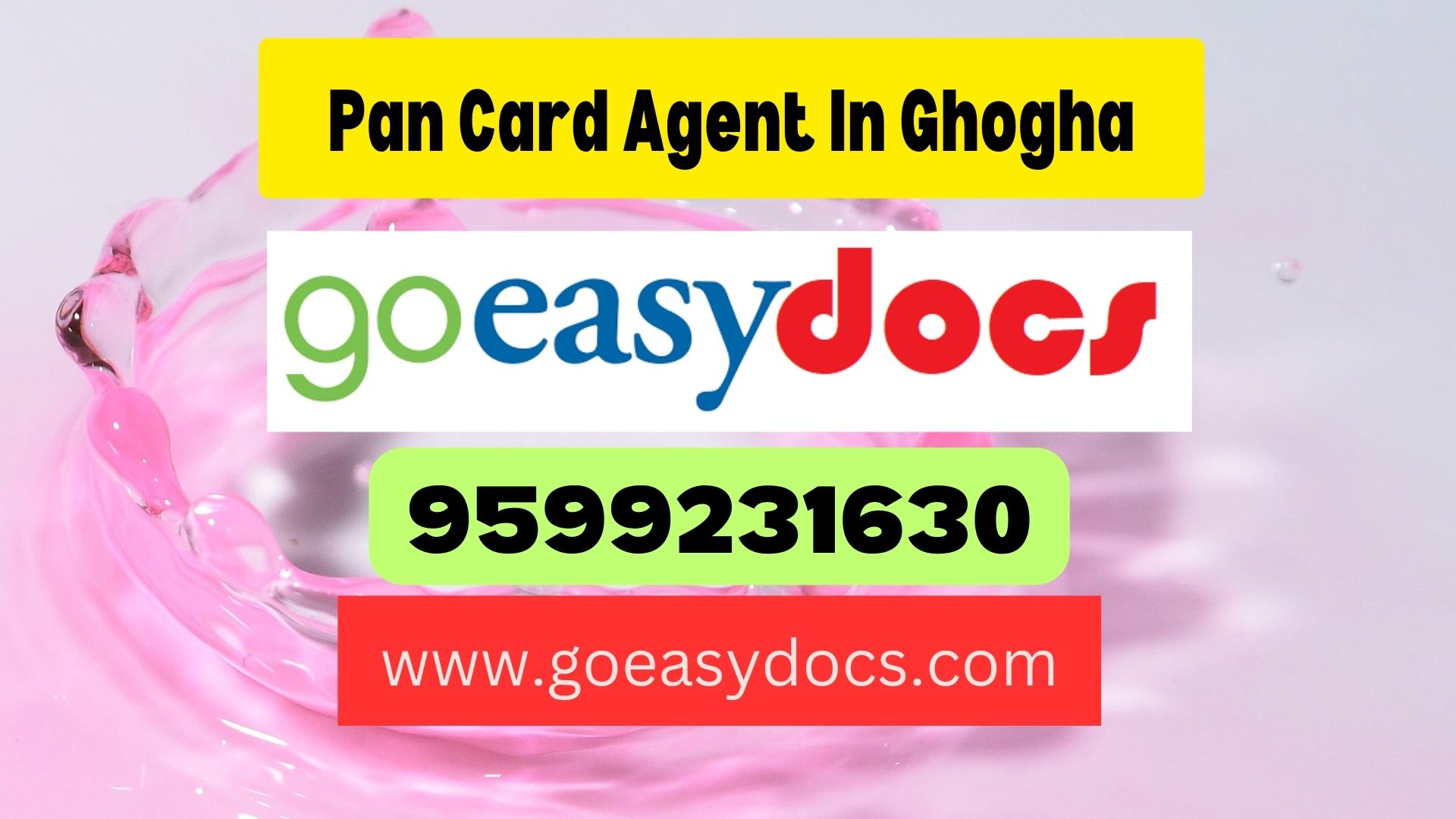 Pan Card Agent Consultant in Ghogha 8851415812