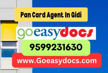 Pan Card Agent Consultant in Gidi 8851415812