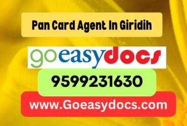 Pan Card Agent Consultant in Giridih 8851415812