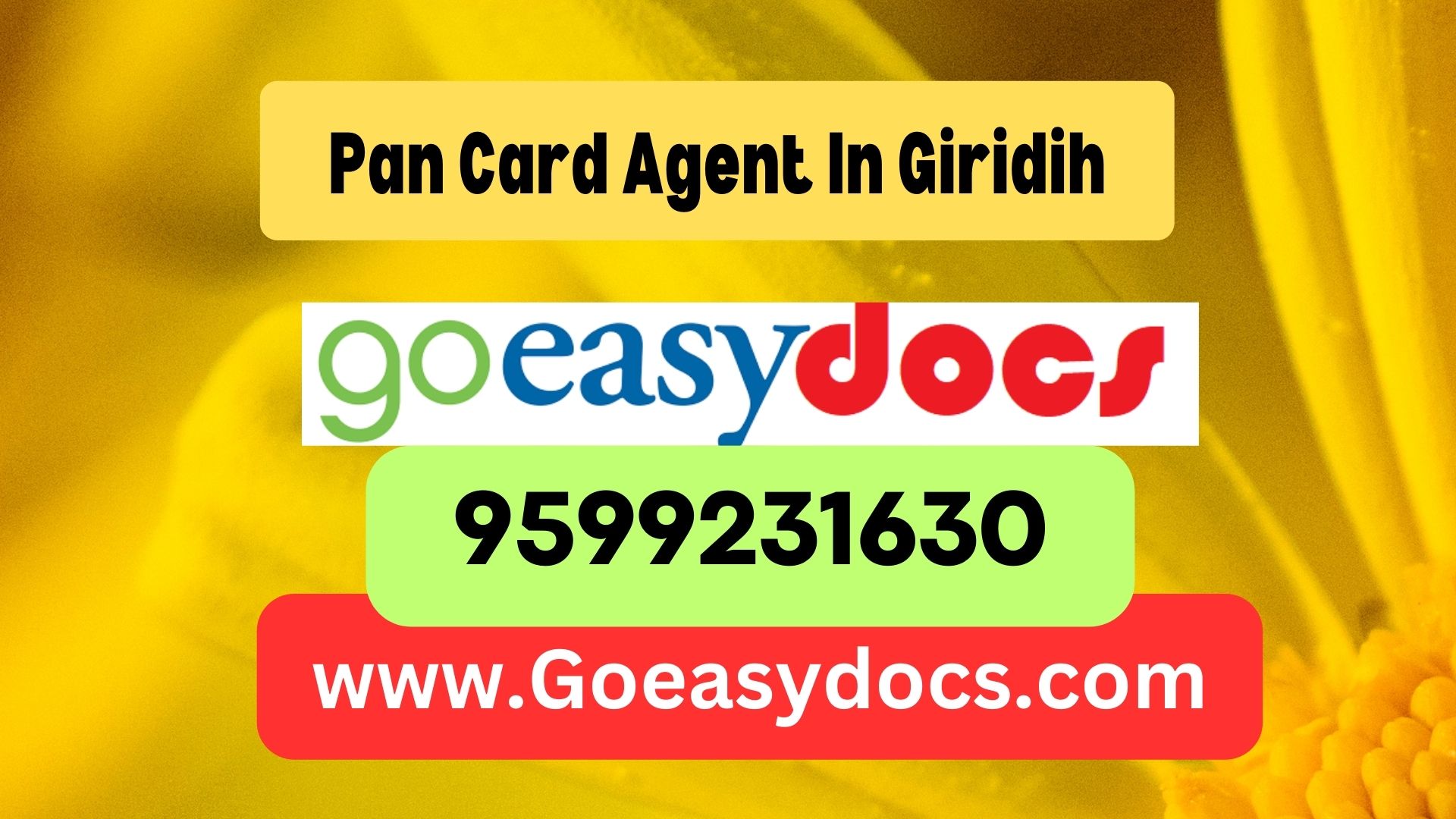 Pan Card Agent Consultant in Giridih 8851415812