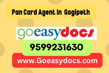 Pan Card Agent Consultant in Gogipeth 8851415812