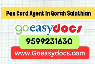 Pan Card Agent Consultant in Gorah Salathian 8851415812