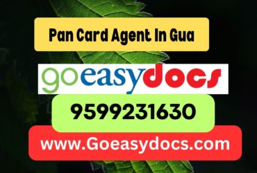 Pan Card Agent Consultant in Gua 8851415812