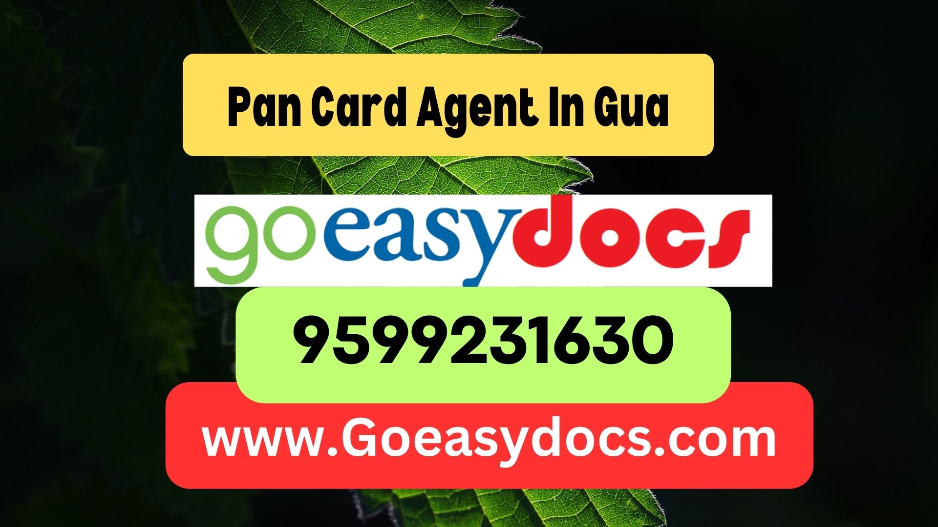 Pan Card Agent Consultant in Gua 8851415812