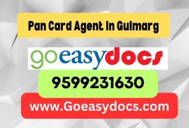 Pan Card Agent Consultant in Gulmarg 8851415812