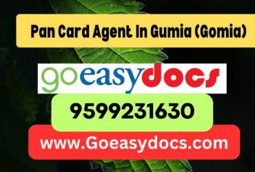 Pan Card Agent Consultant in Gumia  8851415812