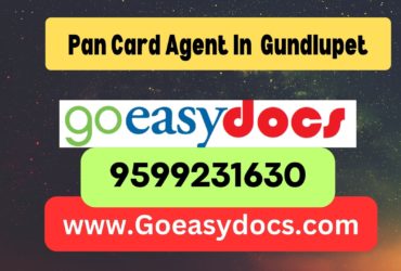 Pan Card Agent Consultant in Gundlupet 8851415812