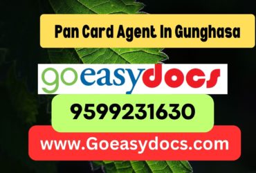 Pan Card Agent Consultant in Gunghasa 8851415812