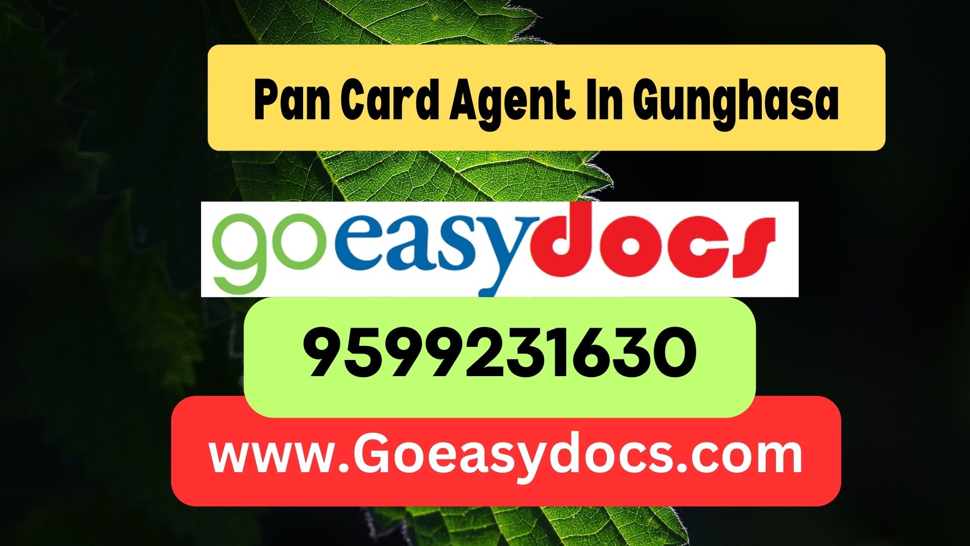 Pan Card Agent Consultant in Gunghasa 8851415812
