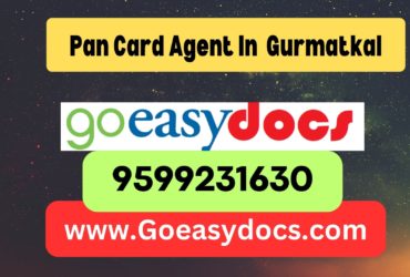 Pan Card Agent Consultant in Gurmatkal 8851415812