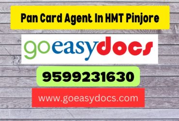 Pan Card Agent Consultant in HMT Pinjore 8851415812