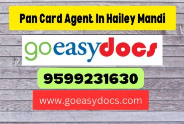 Pan Card Agent Consultant in Hailey Mandi 8851415812