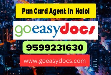 Pan Card Agent Consultant in Halol 8851415812