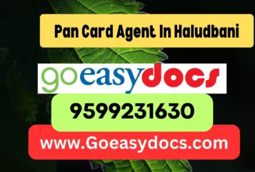 Pan Card Agent Consultant in Haludbani 8851415812