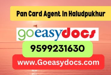 Pan Card Agent Consultant in Haludpukhur 8851415812