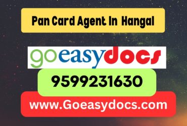 Pan Card Agent Consultant in Hangal 8851415812