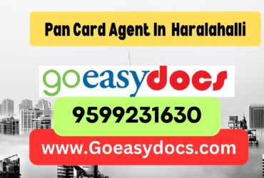 Pan Card Agent Consultant in Haralahalli 8851415812