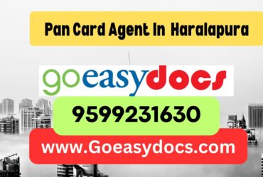 Pan Card Agent Consultant in Haralapura 8851415812