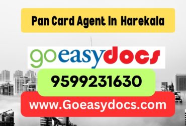 Pan Card Agent Consultant in Harekala 8851415812