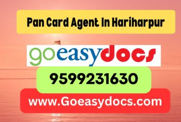 Pan Card Agent Consultant in Hariharpur 8851415812