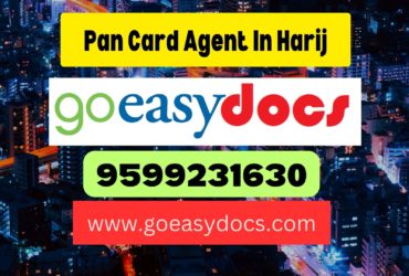 Pan Card Agent Consultant in Harij 8851415812