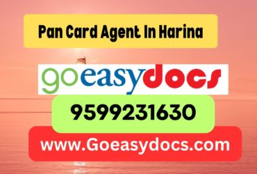 Pan Card Agent Consultant in Harina 8851415812