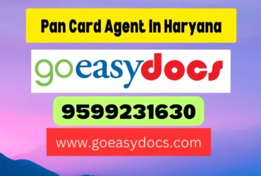 Pan Card Agent Consultant in Haryana 8851415812