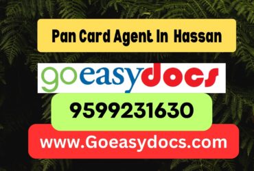 Pan Card Agent Consultant in Hassan 8851415812