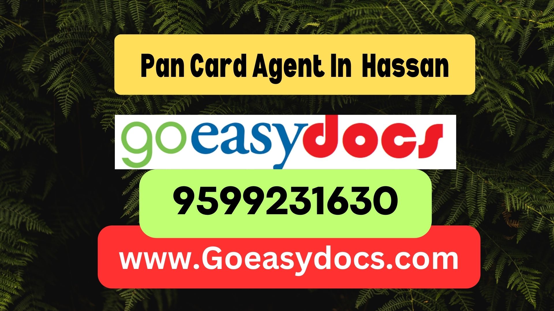 Pan Card Agent Consultant in Hassan 8851415812