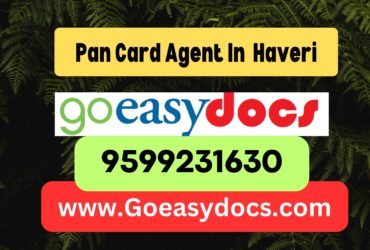 Pan Card Agent Consultant in Haveri 8851415812