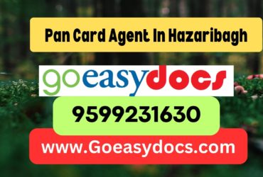 Pan Card Agent Consultant in Hazaribagh 8851415812